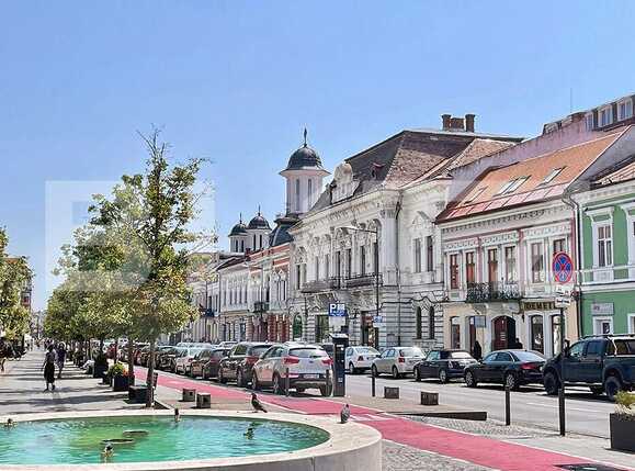 Spațiu comercial de închiriat Central - 78113SIC | BLITZ Cluj-Napoca | Poza1