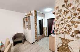 Apartament 3 camere, 70mp, gradina 25mp, ansamblu privat! Zona Tineretului