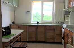 Apartament 3 camere, 70 mp, balcon, zona UMF