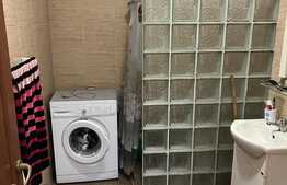 Garsoniera cu gradina de 50 mp, zona Porii