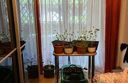 Garsoniera cu gradina de 50 mp, zona Porii