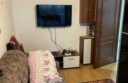 Garsoniera cu gradina de 50 mp, zona Porii