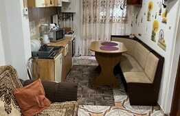 Garsoniera cu gradina de 50 mp, zona Porii