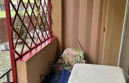 Garsoniera cu gradina de 50 mp, zona Porii