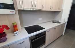 Apartament 2 camere, 46 mp, prima inchiriere, zona Piata Hermes