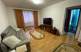 Apartament de 2 camere, 40 mp, zona Faget 