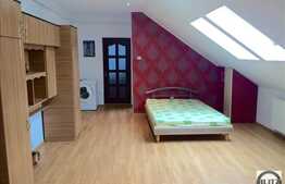 Vanzare mansarda cu 1 camera, 33 mp, zona strazii Eroilor!