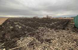 Teren in Stupini, parcelabil pentru nevoile voastre