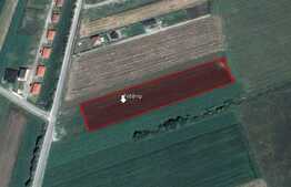 Teren in Stupini, parcelabil pentru nevoile voastre