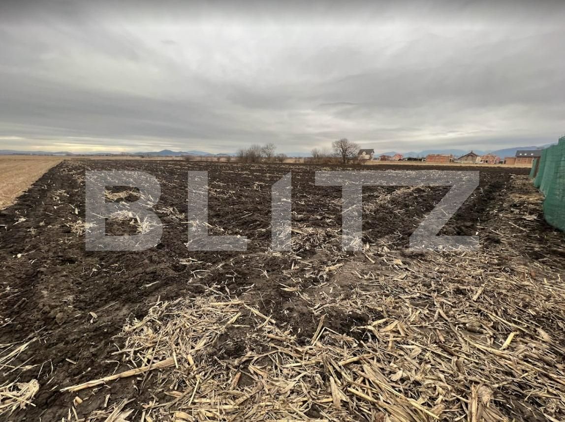 Teren de vânzare Stupini - 78180TV | BLITZ Brașov | Poza4