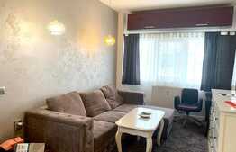 Oportunitate investitie! Apartament 2 camere, preluare chiriasi, finisaje moderne, parcare, Buna Ziua