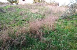 Oportunitate! Teren intravilan 944 mp, utilitati, pretabil casa/duplex, zona Auchan