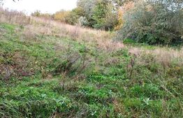 Oportunitate! Teren intravilan 944 mp, utilitati, pretabil casa/duplex, zona Auchan