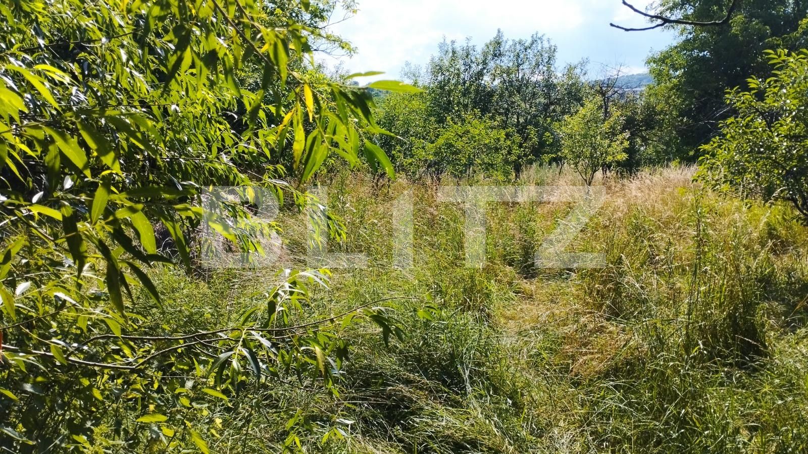 Teren de vânzare Iris - 78197TV | BLITZ Cluj-Napoca | Poza2