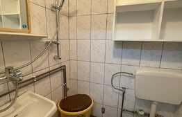 Garsoniera de 20 mp, pet friendly, zona Terapia