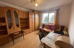 Garsoniera de 20 mp, pet friendly, zona Terapia