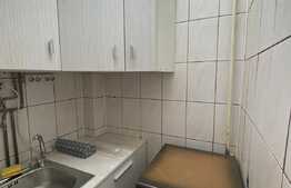 Garsoniera de 20 mp, pet friendly, zona Terapia