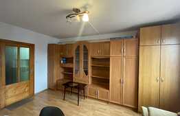 Garsoniera de 20 mp, pet friendly, zona Terapia