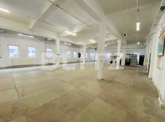 Spațiu industrial de închiriat Marasti - 78246SII | BLITZ Cluj-Napoca | Poza1