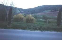 Exclusiv! Oportunitate! Teren Intravilan, 500 mp, utilitati, Salicea 