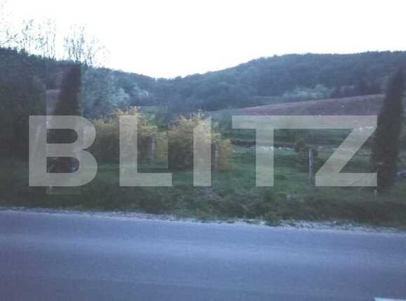 Teren de vânzare Salicea - 78249TV | BLITZ Cluj-Napoca | Poza1