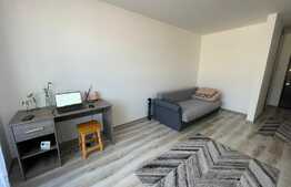 Garsoniera de 46 mp, imobil nou, zona BMW