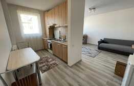 Garsoniera de 46 mp, imobil nou, zona BMW