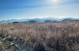 Teren industrial de 3666 mp in Brasov! 