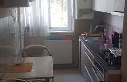 Apartament 4 camere, 85 mp, pet friendly, zona strazii Negoiu