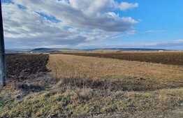 Teren intravilan 2000 mp, PUZ finalizat, in Jucu