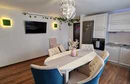 Apartament la cheie, parcare, curte privata, zona de case