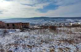 Oportunitate investitie! Teren in intravilan de 2200 mp cu front de 15 ml, Chinteni 