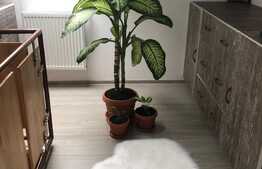 Apartament cu 3 camere, 95 mp, pe 2 niveluri, parcare