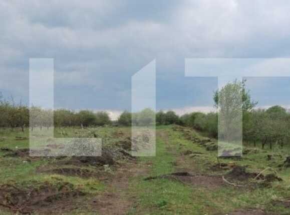 Teren de vânzare Feleacu - 78456TV | BLITZ Cluj-Napoca | Poza1