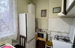 Apartament de 2 camere, decomandat, 55 mp, boxa, parcare, gradina, zona Dedeman