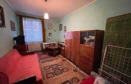 Apartament de 2 camere, decomandat, 55 mp, boxa, parcare, gradina, zona Dedeman