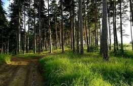 Casa in natura, 110 mp utili, Tarlungeni, sat Purcareni 
