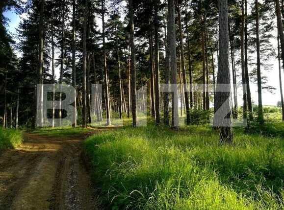 Casa de vânzare 4 camere Exterior Vest - 78514CV | BLITZ Brașov | Poza6