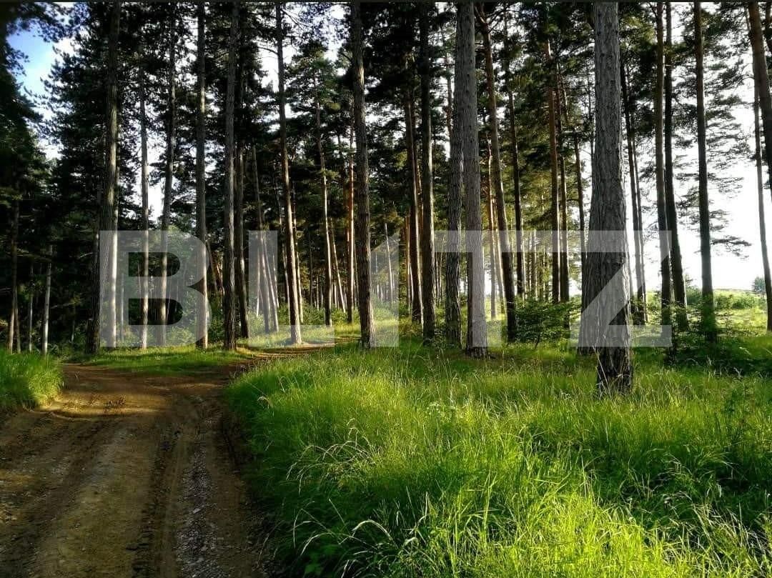 Casa de vânzare 4 camere Exterior Vest - 78514CV | BLITZ Brașov | Poza6