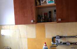 Garsoniera de 24, balcon, zona strazii Louis Pasteur 