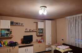 De vanzare casa individuala, 80 mp utili, 700 mp teren,zona linistita, Apahida