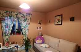 De vanzare casa individuala, 80 mp utili, 700 mp teren,zona linistita, Apahida