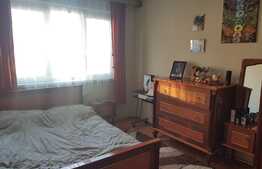 Apartament de 4 camere, 85 mp, pet friendly, zona strazii Negoiu