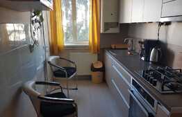 Apartament de 4 camere, 85 mp, pet friendly, zona strazii Negoiu