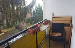 Apartament de 4 camere, 85 mp, pet friendly, zona strazii Negoiu