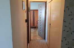 Apartament de 4 camere, 85 mp, pet friendly, zona strazii Negoiu