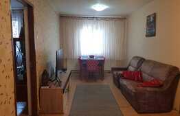 Apartament de 4 camere, 85 mp, pet friendly, zona strazii Negoiu