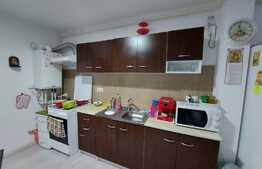 Apartament 2 camere, mobilat, parcare, zona Dumitru Mocanu