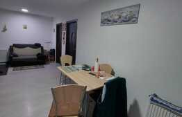 Apartament 2 camere, mobilat, parcare, zona Dumitru Mocanu