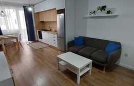 Apartament finisat nou lux, 2 camere, balcon spatios! Zona Terra!